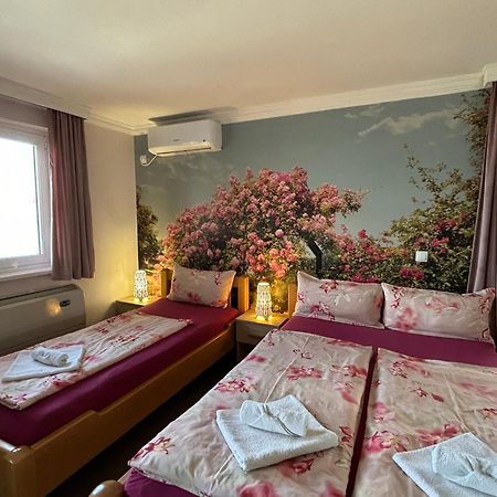 Apartmani "Marija" Голубац Екстериор снимка